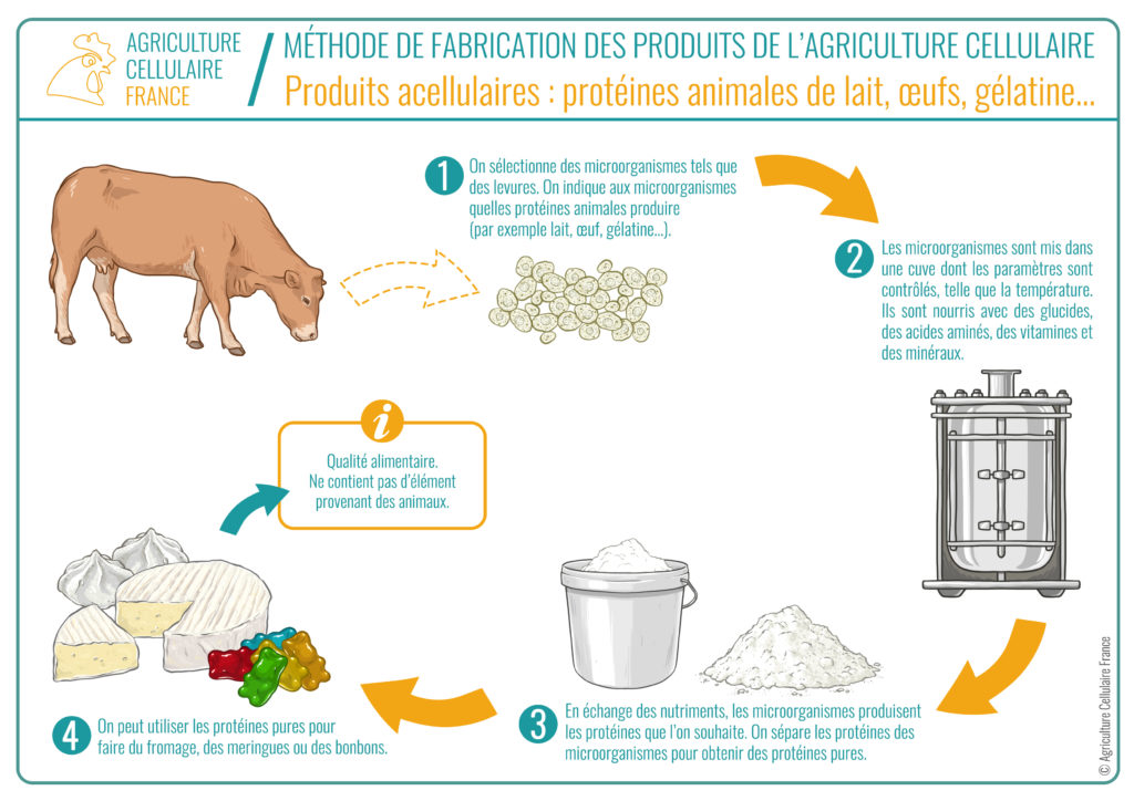 Processus agriculture acellulaire